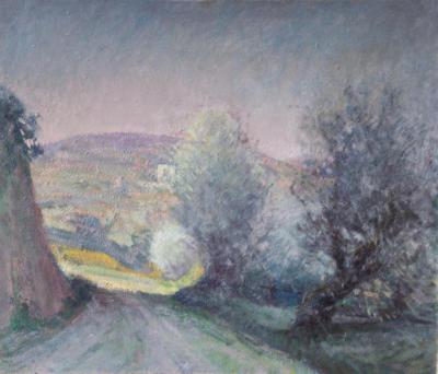 Salici